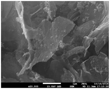 Ultrasound Imaging and Antithrombotic Effects of PLA-Combined Fe3O4-GO-ASA Multifunctional Nanobubbles